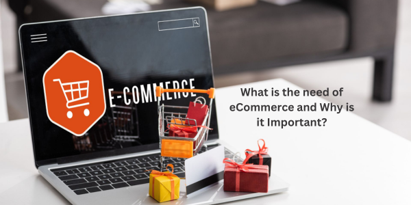 Why your ecommerce business needs a website