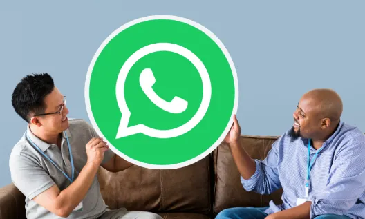 bulk whatsapp marketing